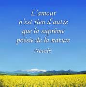 le superlatif de la vie